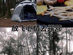 -重庆睡佛山森林公园