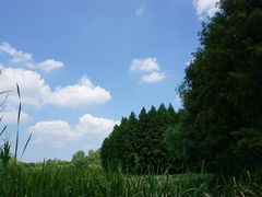 -溱湖国家湿地公园