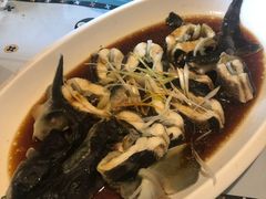 清蒸鲟鱼-吕宋海鲜楼