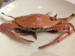 -日月昇渔家菜·海肠捞饭·大连海鲜(星海公园店)
