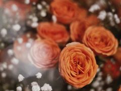 -循礼门鲜花花市(武汉循礼门店)