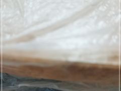 -安陆烧烤(城站路店)