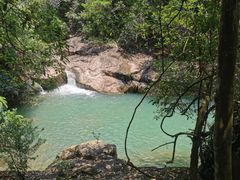 -广州白江湖森林公园