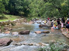 -广州白江湖森林公园