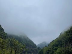 -藏龙百瀑风景区