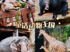 -长鹿旅游休博园