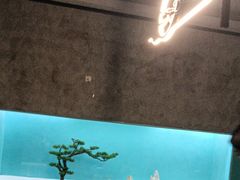 -金狮麟•宋宴•宋文化地标餐厅(晋安路店)
