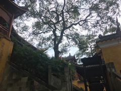 -涂山寺素食餐厅