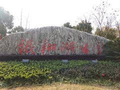 -南翔镇银翔湖公园