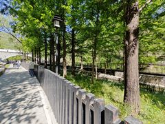 -白水寺森林公园