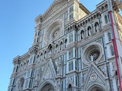 -圣母百花大教堂穹顶