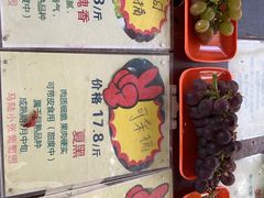 -马陆小张葡萄园农家乐