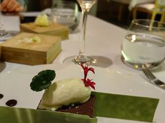 -蝶舍·MAISON PAPILLON