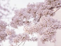 -龙美术馆(西岸馆)