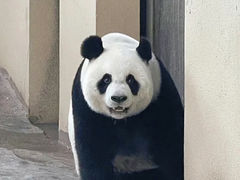 -宁波野生动物园
