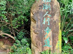 -深圳仙湖植物园