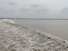 -观潮胜地公园