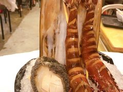 -鲜入围煮花胶鸡海鲜火锅