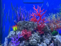 -成都浩海立方海洋公园