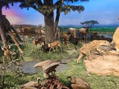 -国家自然博物馆