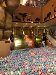 -卡通尼·Safari非洲探索乐园·生日会(金桥国际商业广场店)