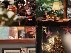 -咖法森林·咖啡  酒吧(天河店)