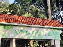 -番禺大夫山森林公园