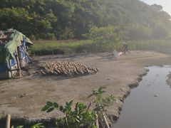-花岙岛