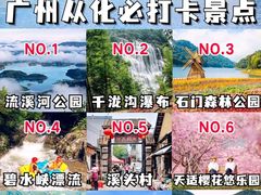 -广州市石门国家森林公园