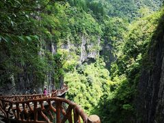 -鹿院坪生态旅游景区