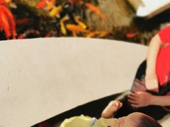 -三亚亚龙湾金棕榈度假酒店