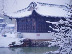 -扬州大运河文化旅游度假区·盆景园