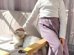 -有猫儿腻咖啡厅.猫咖