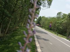 -四川大学(华西校区)