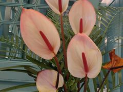 -南堂馆·新川菜(春熙路店)