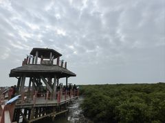 -北海金海湾红树林生态旅游区
