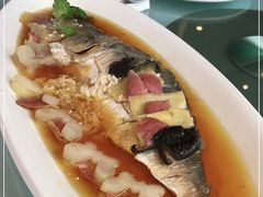 -圆苑(金茂店)