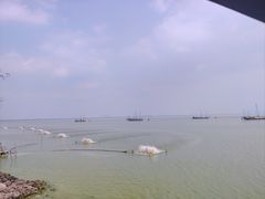 -贡湖湾湿地公园
