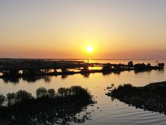 景点-洪湖生态旅游区