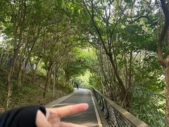 -福道