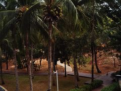 -三亚海棠湾万丽度假酒店