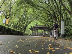 -白云山庄