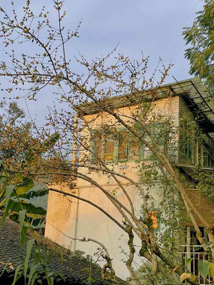 冻绿房-"以前在下浩就爱了的冻绿房.搬了新地儿还没."-大众点评移动版