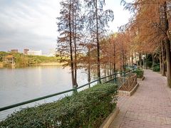 -深圳龙潭公园