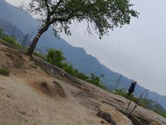 -白水寺森林公园