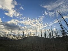 -江西景德镇玉田湖国家湿地公园