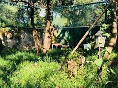 -太湖游船(石公山码头)