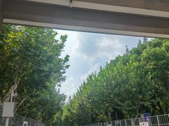 -上海大学(嘉定校区)