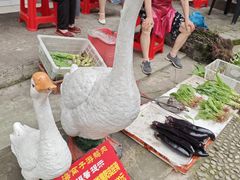 -海窝子古镇