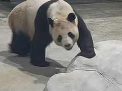 -栾川竹海野生动物园
